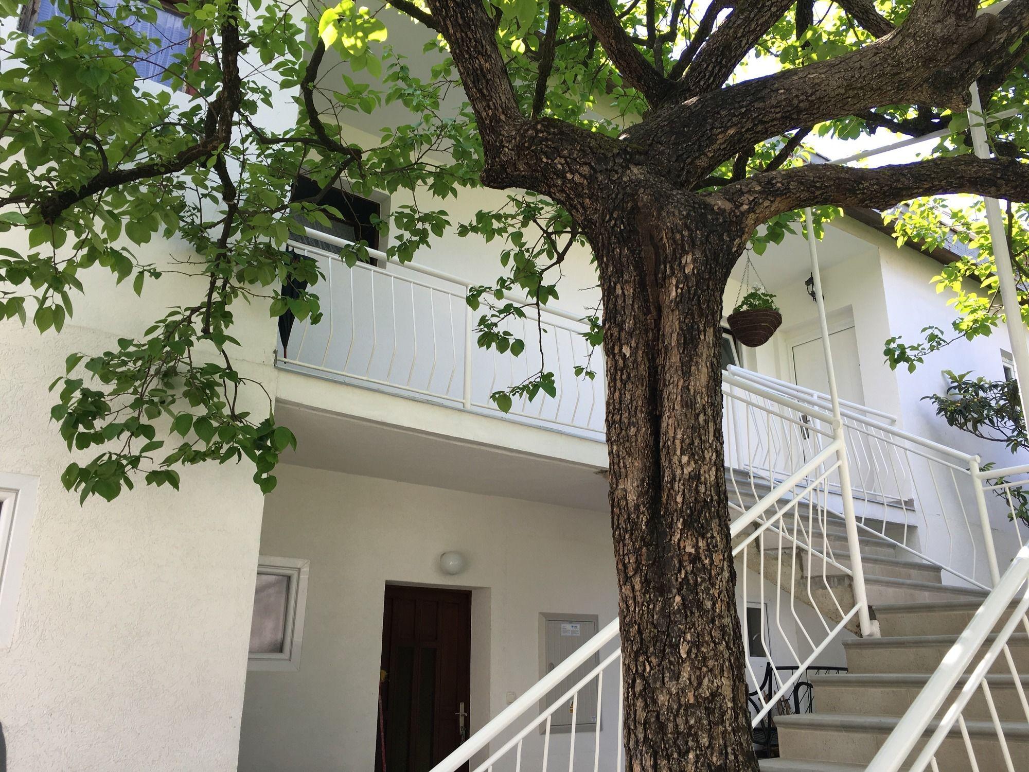 Apartments Herceg Novi Dış mekan fotoğraf