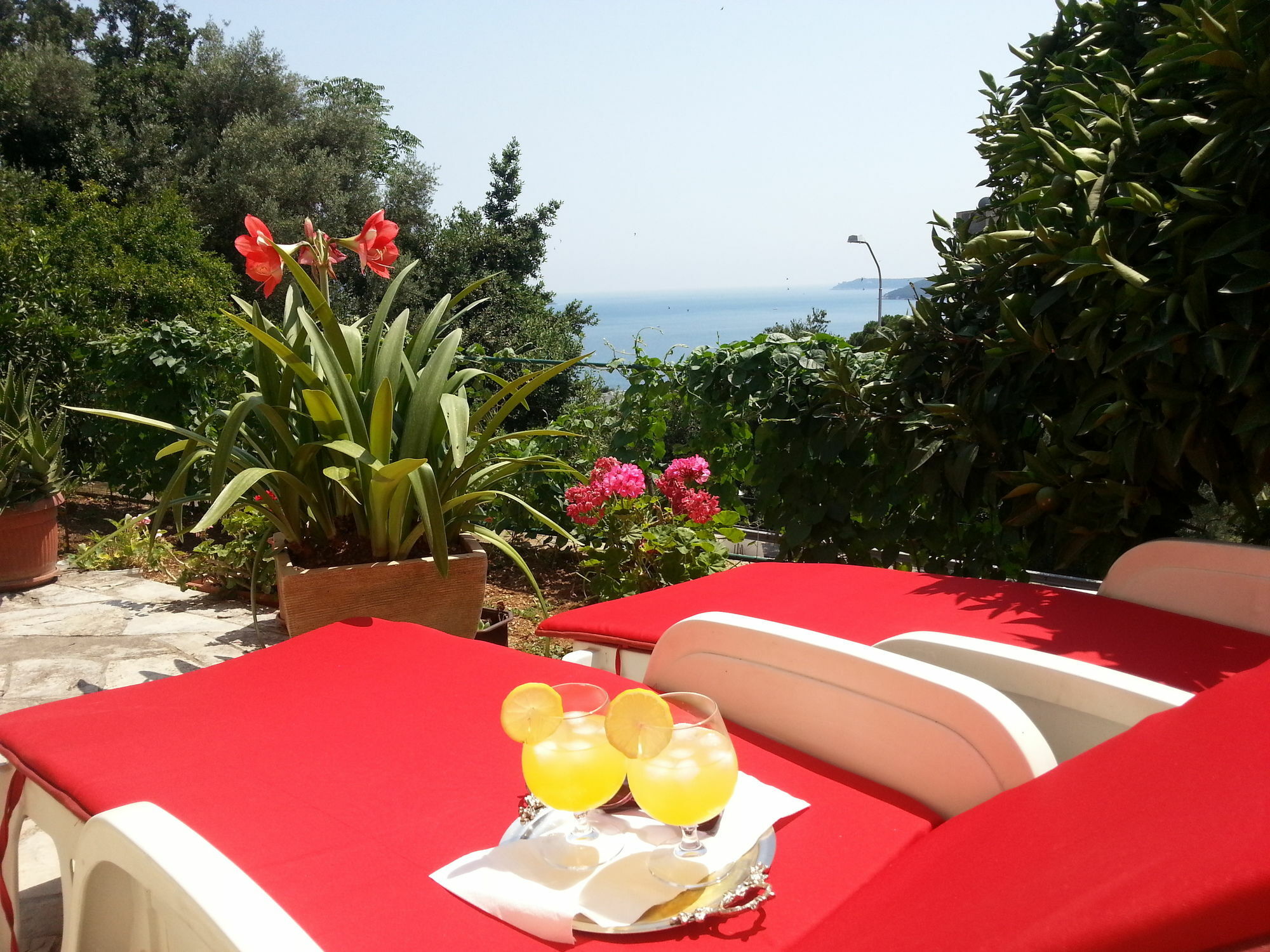 Apartments Herceg Novi Dış mekan fotoğraf